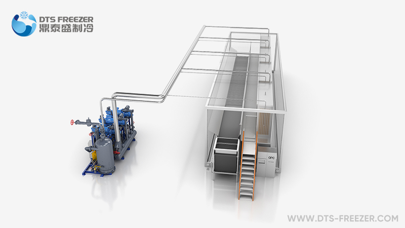 Individual Quick Freezer(IQF)