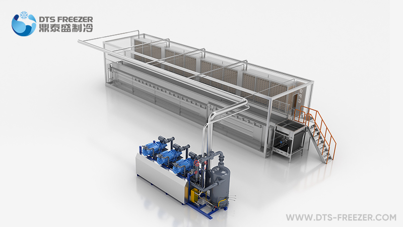 Individual Quick Freezer(IQF)