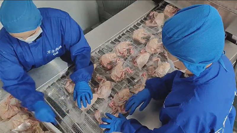 DTS freezer safeguard the freshness of pigeon processing for poultry product companies.